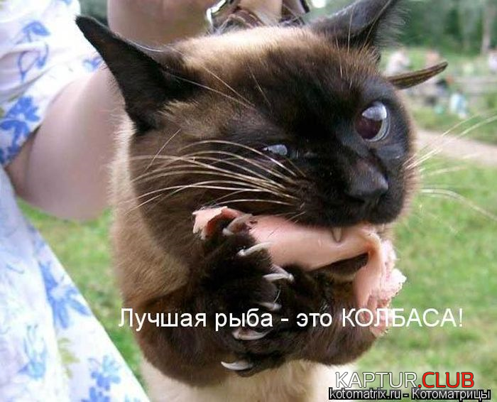 untitled.png | Рено Каптур Клуб Россия | Форум KAPTUR.SU
