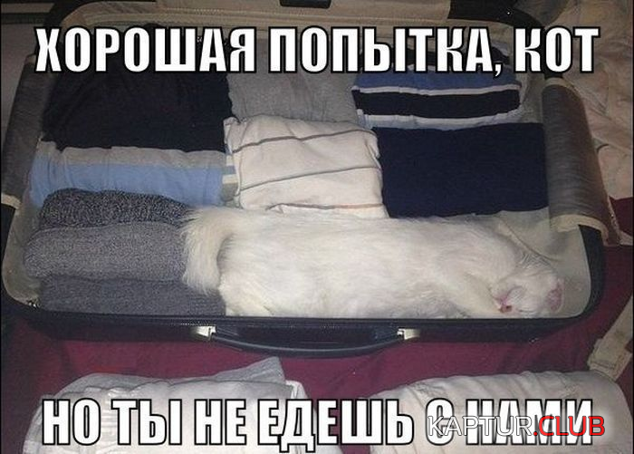 untitled.png | Рено Каптур Клуб Россия | Форум KAPTUR.SU