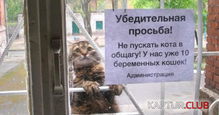 untitled.png | Рено Каптур Клуб Россия | Форум KAPTUR.SU