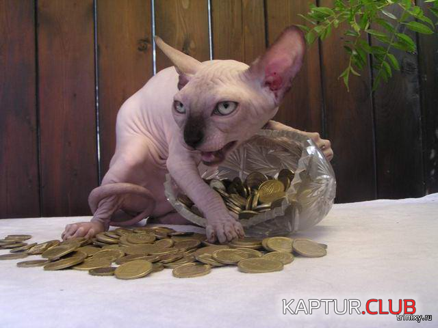untitled.png | Рено Каптур Клуб Россия | Форум KAPTUR.SU