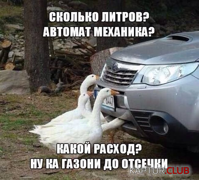 untitled.png | Рено Каптур Клуб Россия | Форум KAPTUR.SU