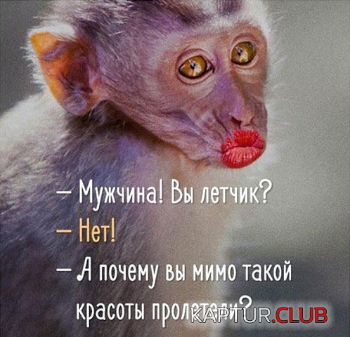 untitled.png | Рено Каптур Клуб Россия | Форум KAPTUR.SU