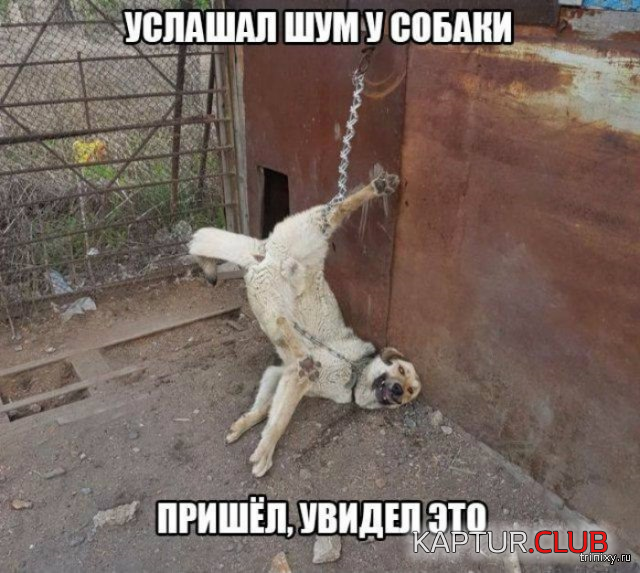 untitled.png | Рено Каптур Клуб Россия | Форум KAPTUR.SU