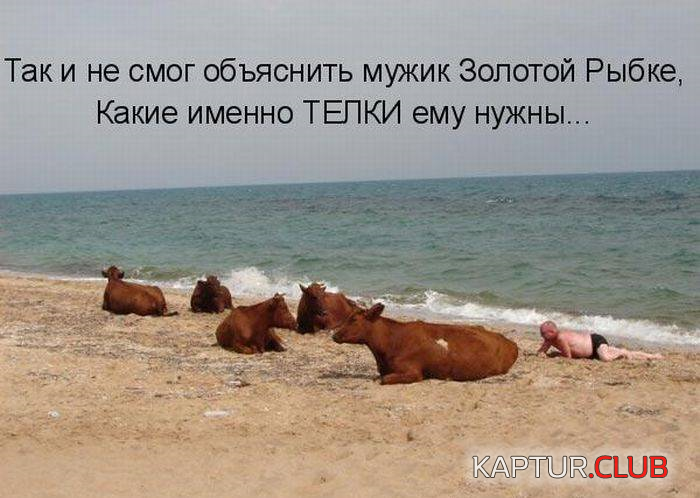 untitled.png | Рено Каптур Клуб Россия | Форум KAPTUR.SU