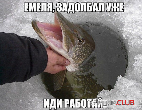 untitled.png | Рено Каптур Клуб Россия | Форум KAPTUR.SU