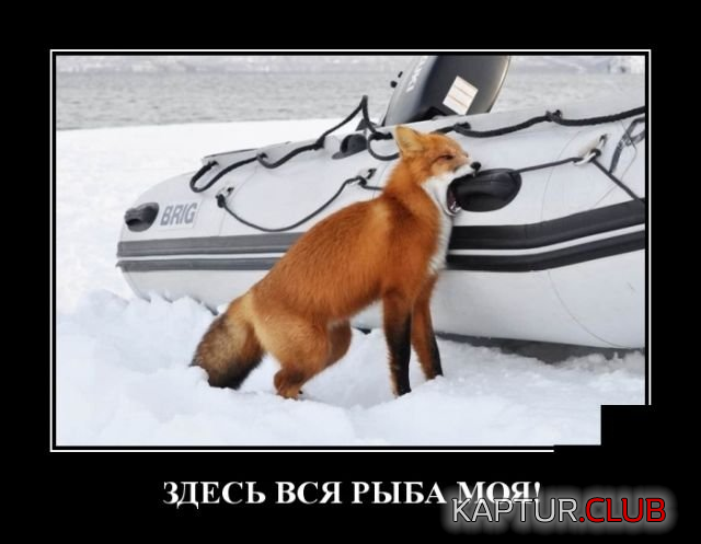 untitled.png | Рено Каптур Клуб Россия | Форум KAPTUR.SU