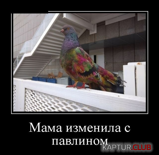 untitled.png | Рено Каптур Клуб Россия | Форум KAPTUR.SU