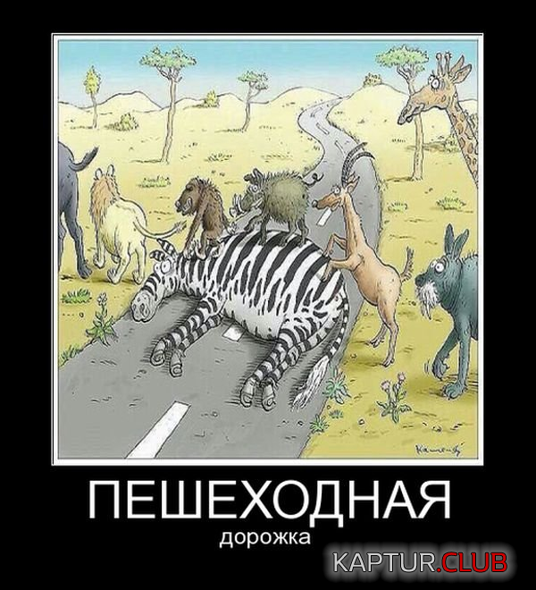 untitled.png | Рено Каптур Клуб Россия | Форум KAPTUR.SU