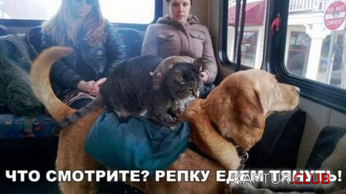 untitled.png | Рено Каптур Клуб Россия | Форум KAPTUR.SU