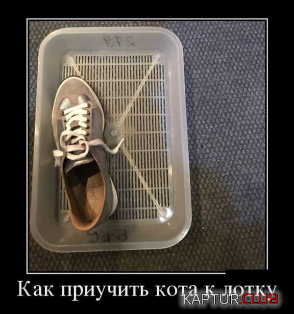 untitled.png | Рено Каптур Клуб Россия | Форум KAPTUR.SU