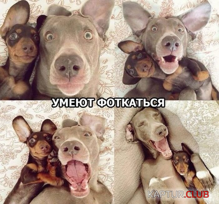 untitled.png | Рено Каптур Клуб Россия | Форум KAPTUR.SU