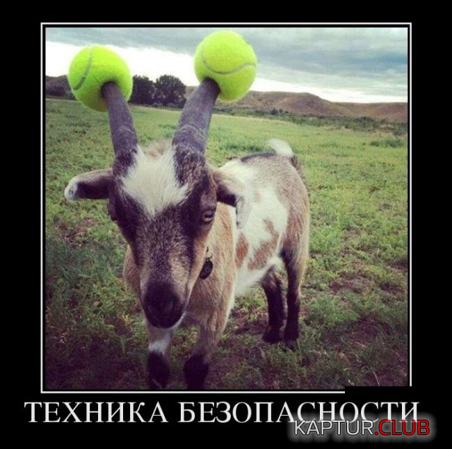 untitled.png | Рено Каптур Клуб Россия | Форум KAPTUR.SU