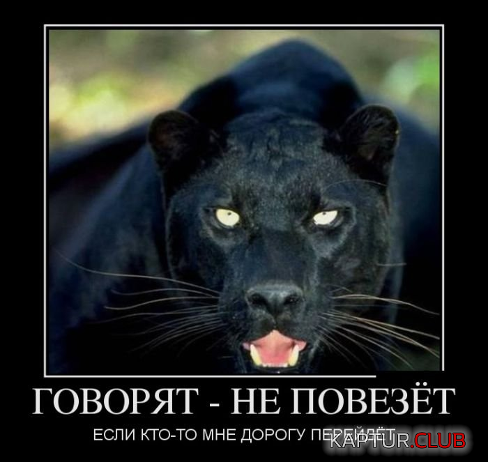 untitled.png | Рено Каптур Клуб Россия | Форум KAPTUR.SU