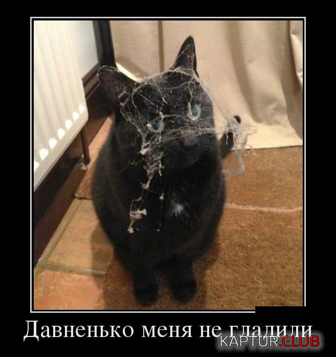 untitled.png | Рено Каптур Клуб Россия | Форум KAPTUR.SU