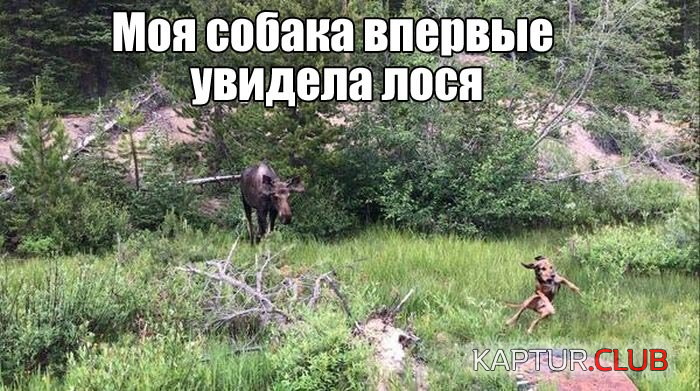 untitled.png | Рено Каптур Клуб Россия | Форум KAPTUR.SU