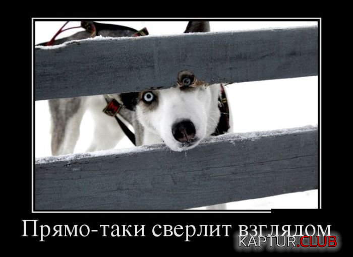 untitled.png | Рено Каптур Клуб Россия | Форум KAPTUR.SU