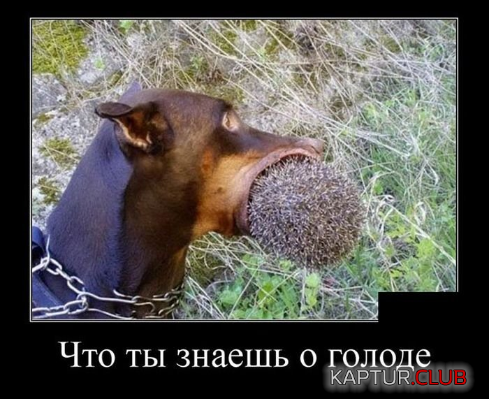 untitled.png | Рено Каптур Клуб Россия | Форум KAPTUR.SU