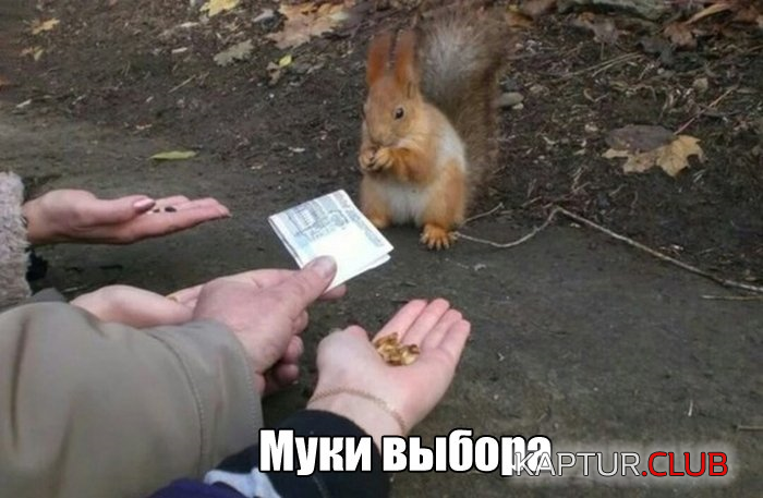 untitled.png | Рено Каптур Клуб Россия | Форум KAPTUR.SU