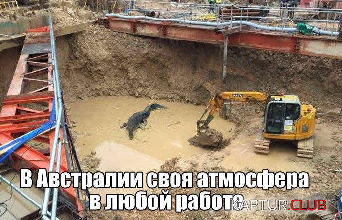 untitled.png | Рено Каптур Клуб Россия | Форум KAPTUR.SU