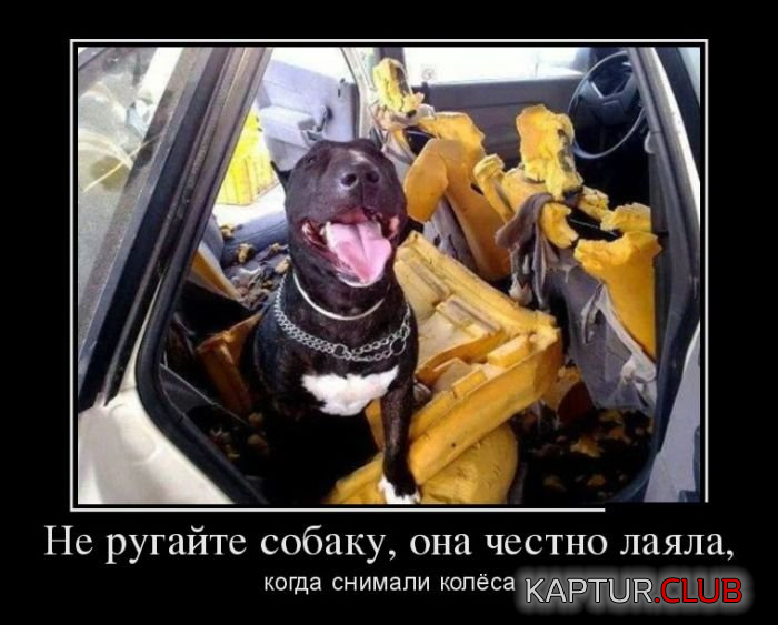 untitled.png | Рено Каптур Клуб Россия | Форум KAPTUR.SU