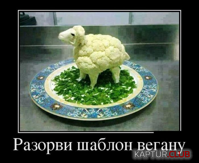 untitled.png | Рено Каптур Клуб Россия | Форум KAPTUR.SU