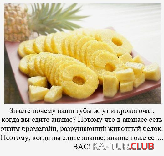 untitled.png | Рено Каптур Клуб Россия | Форум KAPTUR.SU