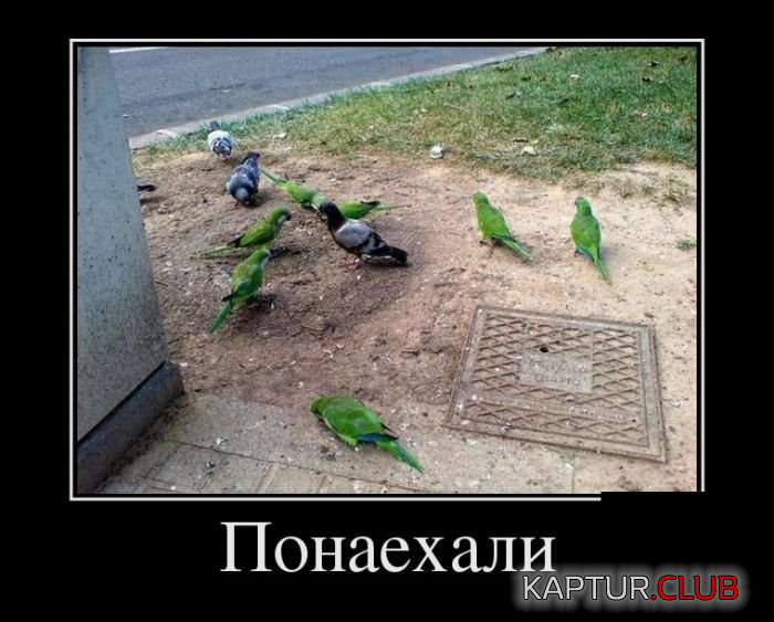 untitled.png | Рено Каптур Клуб Россия | Форум KAPTUR.SU