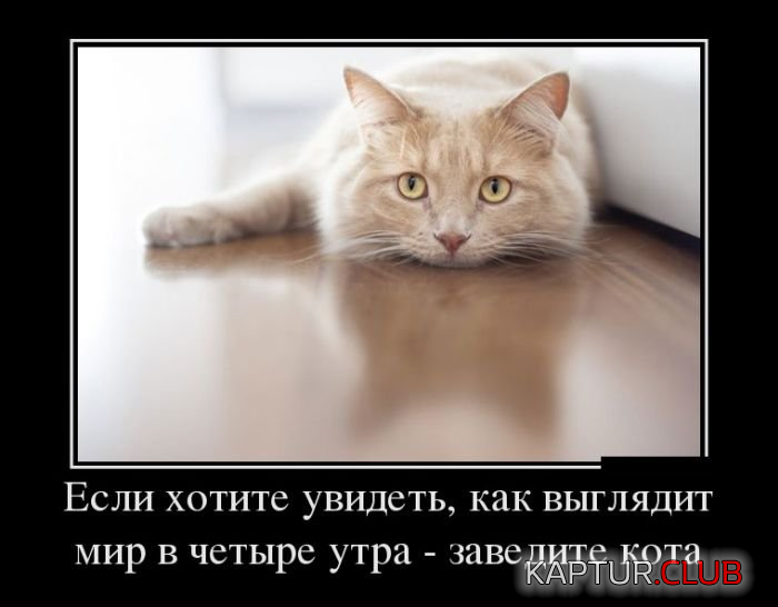 untitled.png | Рено Каптур Клуб Россия | Форум KAPTUR.SU