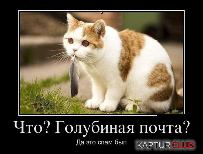 untitled.png | Рено Каптур Клуб Россия | Форум KAPTUR.SU