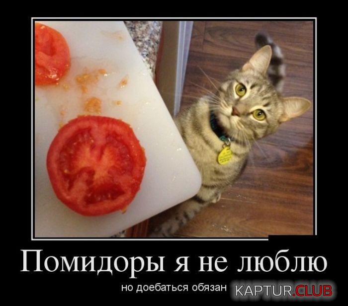 untitled.png | Рено Каптур Клуб Россия | Форум KAPTUR.SU