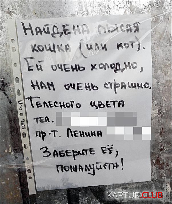 untitled.png | Рено Каптур Клуб Россия | Форум KAPTUR.SU