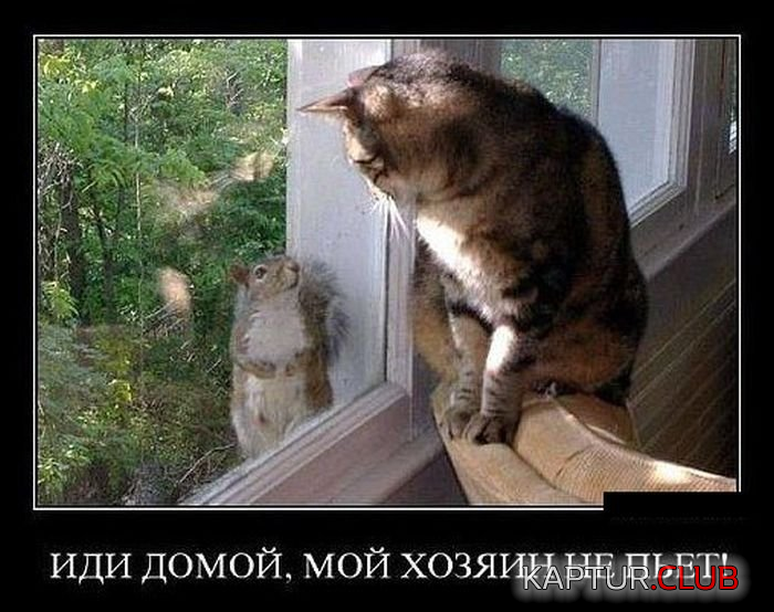untitled.png | Рено Каптур Клуб Россия | Форум KAPTUR.SU