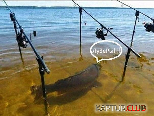 untitled.png | Рено Каптур Клуб Россия | Форум KAPTUR.SU