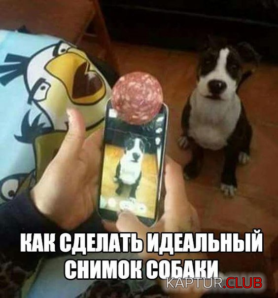 untitled.png | Рено Каптур Клуб Россия | Форум KAPTUR.SU