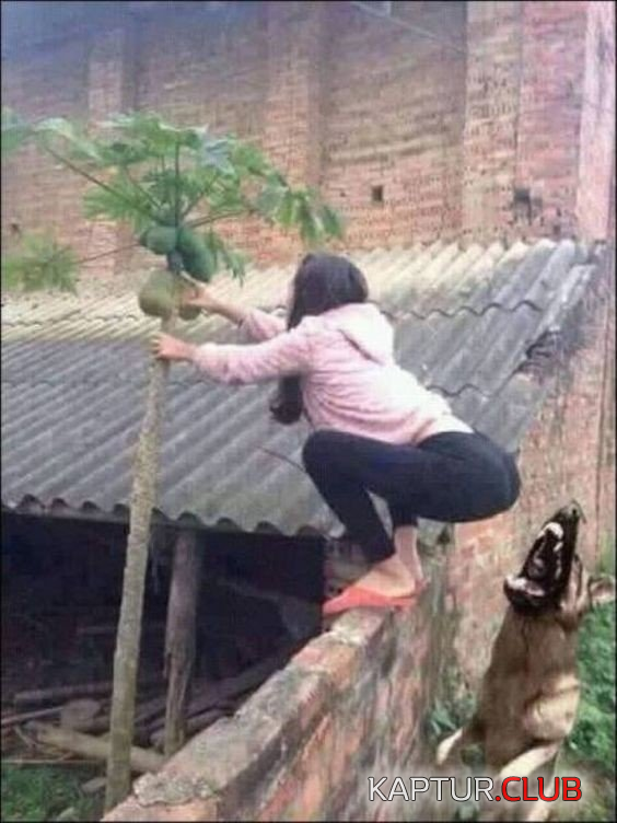 untitled.png | Рено Каптур Клуб Россия | Форум KAPTUR.SU