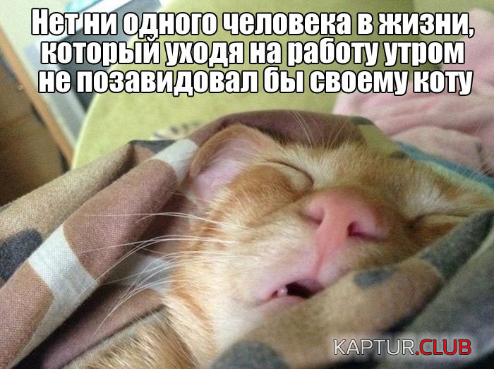 untitled.png | Рено Каптур Клуб Россия | Форум KAPTUR.SU