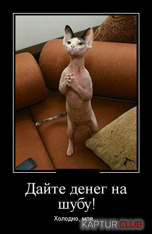 untitled.png | Рено Каптур Клуб Россия | Форум KAPTUR.SU