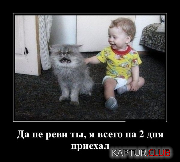 untitled.png | Рено Каптур Клуб Россия | Форум KAPTUR.SU