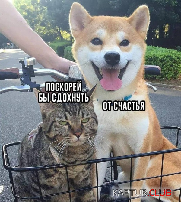 untitled.png | Рено Каптур Клуб Россия | Форум KAPTUR.SU