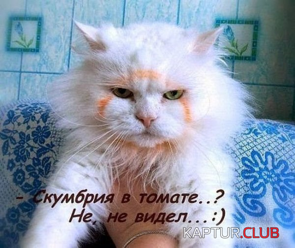 untitled.png | Рено Каптур Клуб Россия | Форум KAPTUR.SU