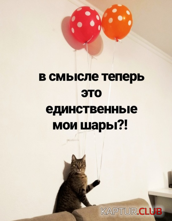 untitled.png | Рено Каптур Клуб Россия | Форум KAPTUR.SU