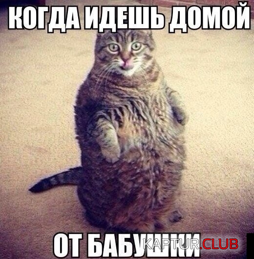 untitled.png | Рено Каптур Клуб Россия | Форум KAPTUR.SU
