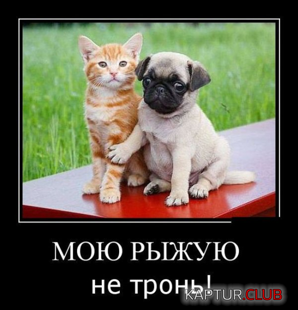 untitled.png | Рено Каптур Клуб Россия | Форум KAPTUR.SU