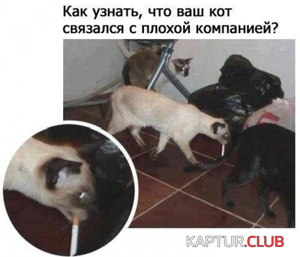 untitled.png | Рено Каптур Клуб Россия | Форум KAPTUR.SU