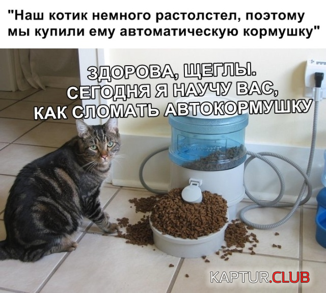 untitled.png | Рено Каптур Клуб Россия | Форум KAPTUR.SU