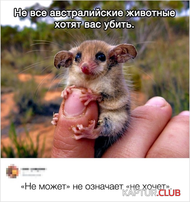 untitled.png | Рено Каптур Клуб Россия | Форум KAPTUR.SU