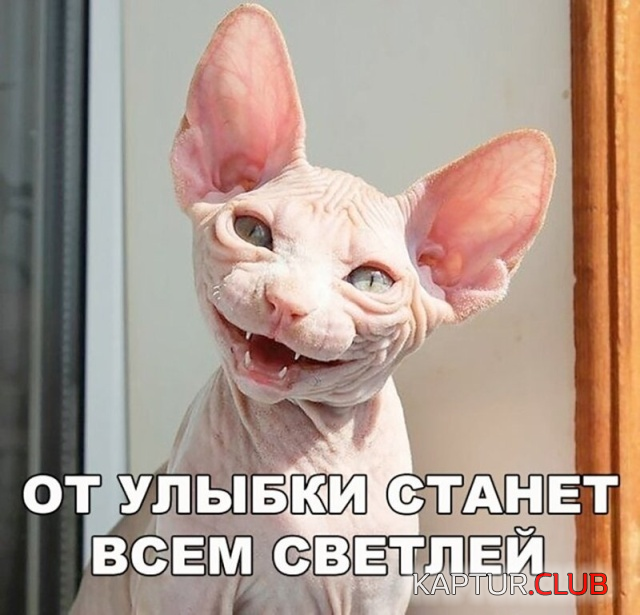 untitled.png | Рено Каптур Клуб Россия | Форум KAPTUR.SU