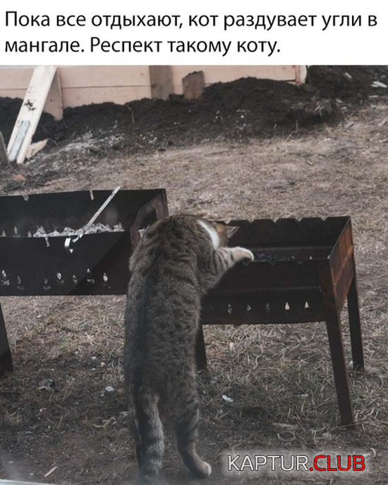 untitled.png | Рено Каптур Клуб Россия | Форум KAPTUR.SU