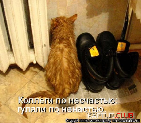 untitled.png | Рено Каптур Клуб Россия | Форум KAPTUR.SU