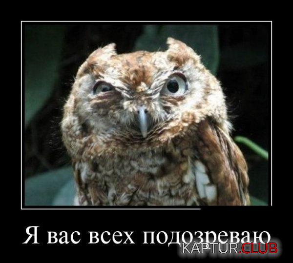 untitled.png | Рено Каптур Клуб Россия | Форум KAPTUR.SU